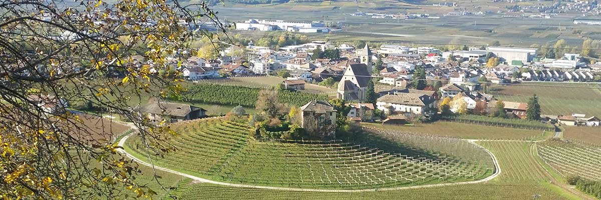 Villa Ruggero Wine Hotel vigneti