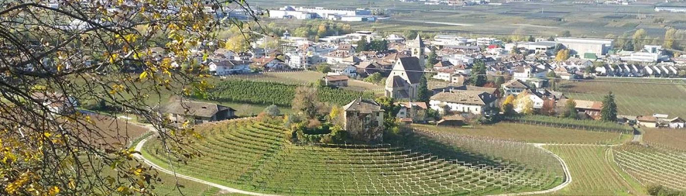 Villa Ruggero Wine Hotel vigneti